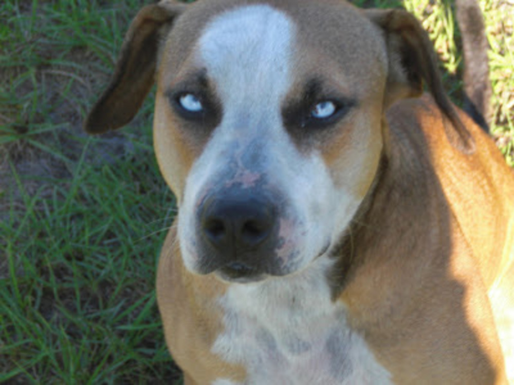 Meet your Posher, Timothy